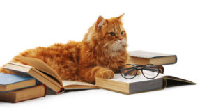 Orange cat lying on books, pair of glasses on one book