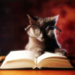 black cat with glasses looking at an open book