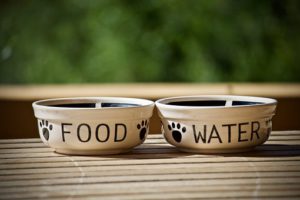 Food and water bowls