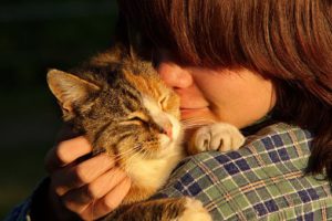 Cat bonding with human