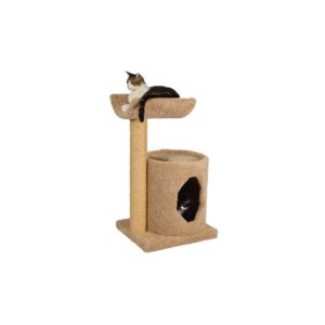 two-tier cat tree, round bed at bottom; bed at top