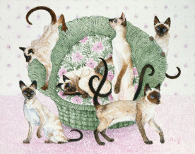 Drawing of 6 Siamese