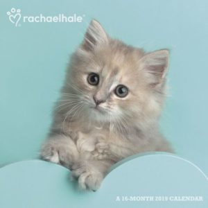 2019 cat calendars