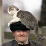 man in hat; cat sitting on his head
