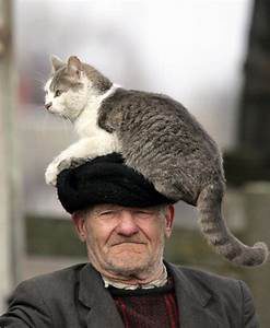 man in hat; cat sitting on his head