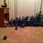 cat next to knocked-over Christmas tree 