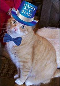 Orange cat in blue New Year's hat and bow tie