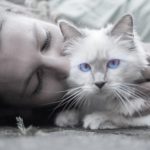 face of woman kissing white cat