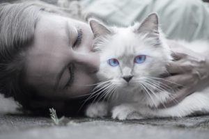 face of woman kissing white cat