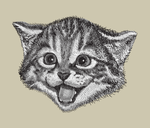 Drawing of cat head; large eyes; mouth open
