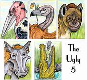 book cover, pictures of ugly five