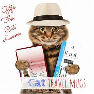 cat ready for travel with hat, tickets