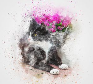 Drawing of black & white kitten