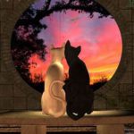 2 cats looking out round window at sunset