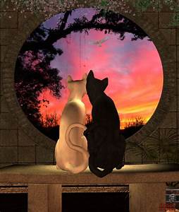 2 cats looking out round window at sunset