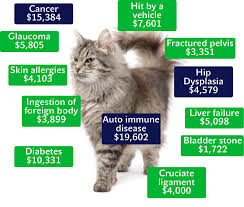  pic of cat with prices of various health problems