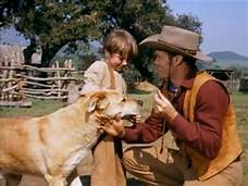 Cowboy talking to boy and dog