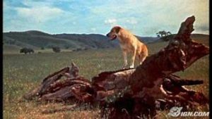 Yellow dog standing on log