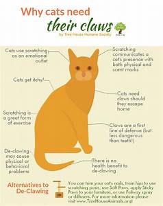 Chart with info about declawing