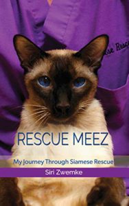 Siamese sitting; rescue meez caption