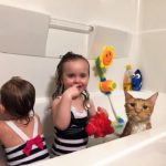 Children and cat in tub