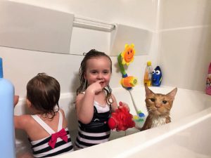 Children and cat in tub