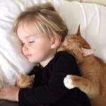 child and orange cat sleeping