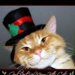 Head of orange cat; top hat