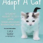 Adopt a cat sign; kitten picture