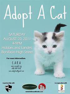 Adopt a cat sign; kitten picture