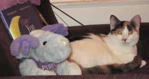 Cat with stuffed dog