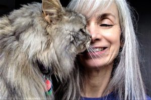 Silver-haired woman with silver-haired cat