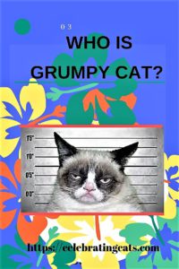 Pic of Grumpy Cat + pinterest pin