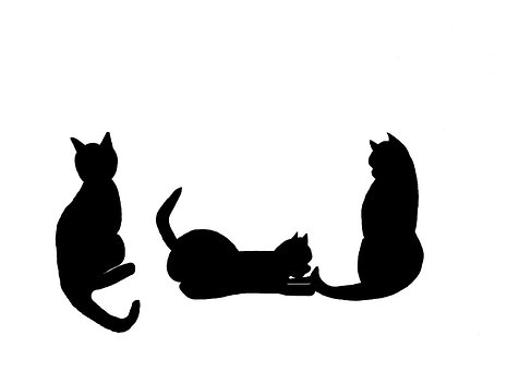 silhouette of black cats