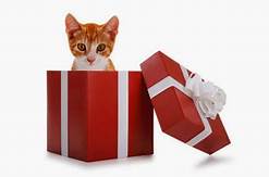 Red gift box; cat inside