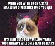 Grumpy cat with grumpy saying