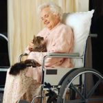 lady in wheelchair with cat