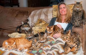 Deb Barnes and 7 cats