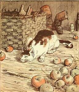 cat sneaking up on something