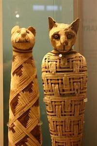 Two mummified cats