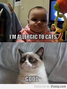 Baby: I'm allergic to cats; Grumpy Cat: Good