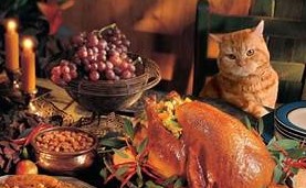 Cat at chair eyeing turkey on table