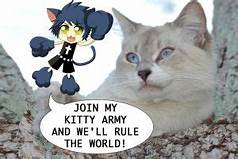 Kitty army advertisement