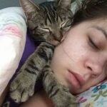 cat sleeping with person