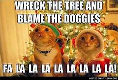 Two cats singing "wreck the tree and blame the doggies"