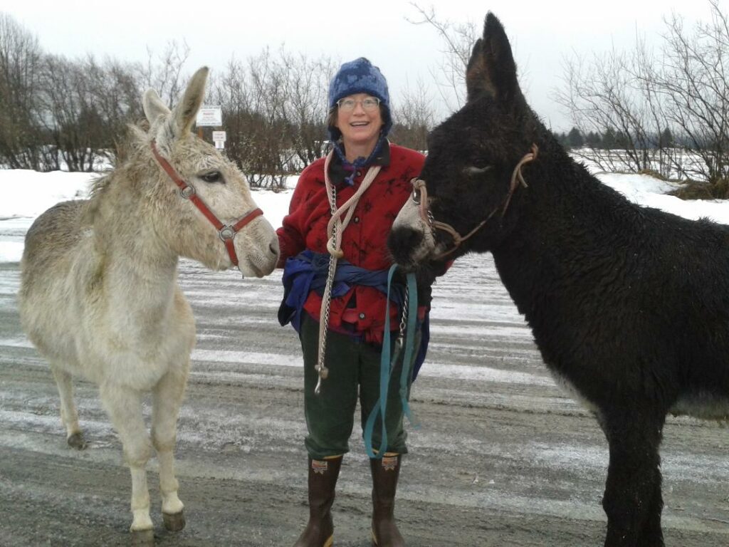 Kate and two donkeys