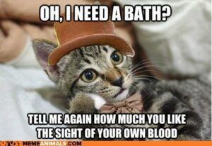 Oh, I need a bath? Tell me again how much you like the sight of your own blood