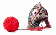 Kitten playing with yarn