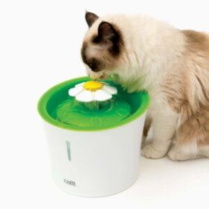 Cat drinking from Catit Flower Fountain