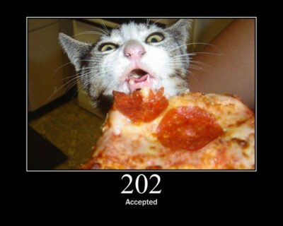 Cat stealing piece of pizza
